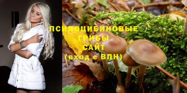 дурь Богородицк