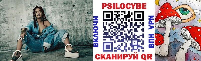 Псилоцибиновые грибы Psilocybe  это какой сайт  Зима  продажа наркотиков 